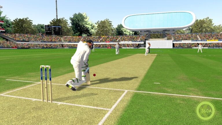 Ashes Cricket 2013