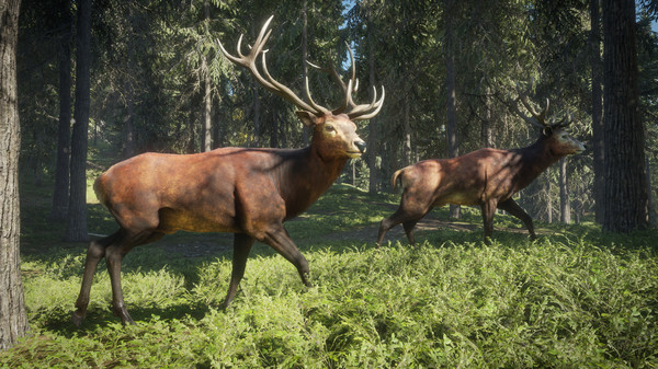theHunter Call of the Wild