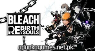 Bleach Rebirth of Souls