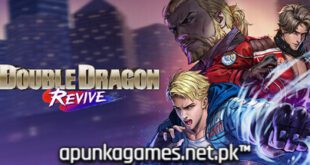 Double Dragon Revive
