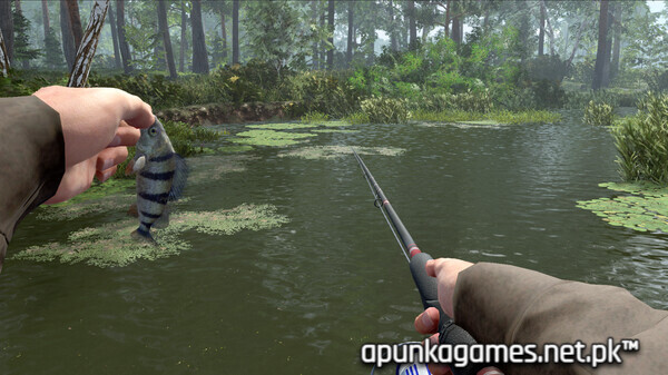 Professional Fishing 2