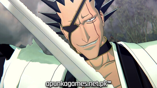 Bleach Rebirth of Souls