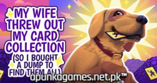 My Wife Threw Out My Card Collection