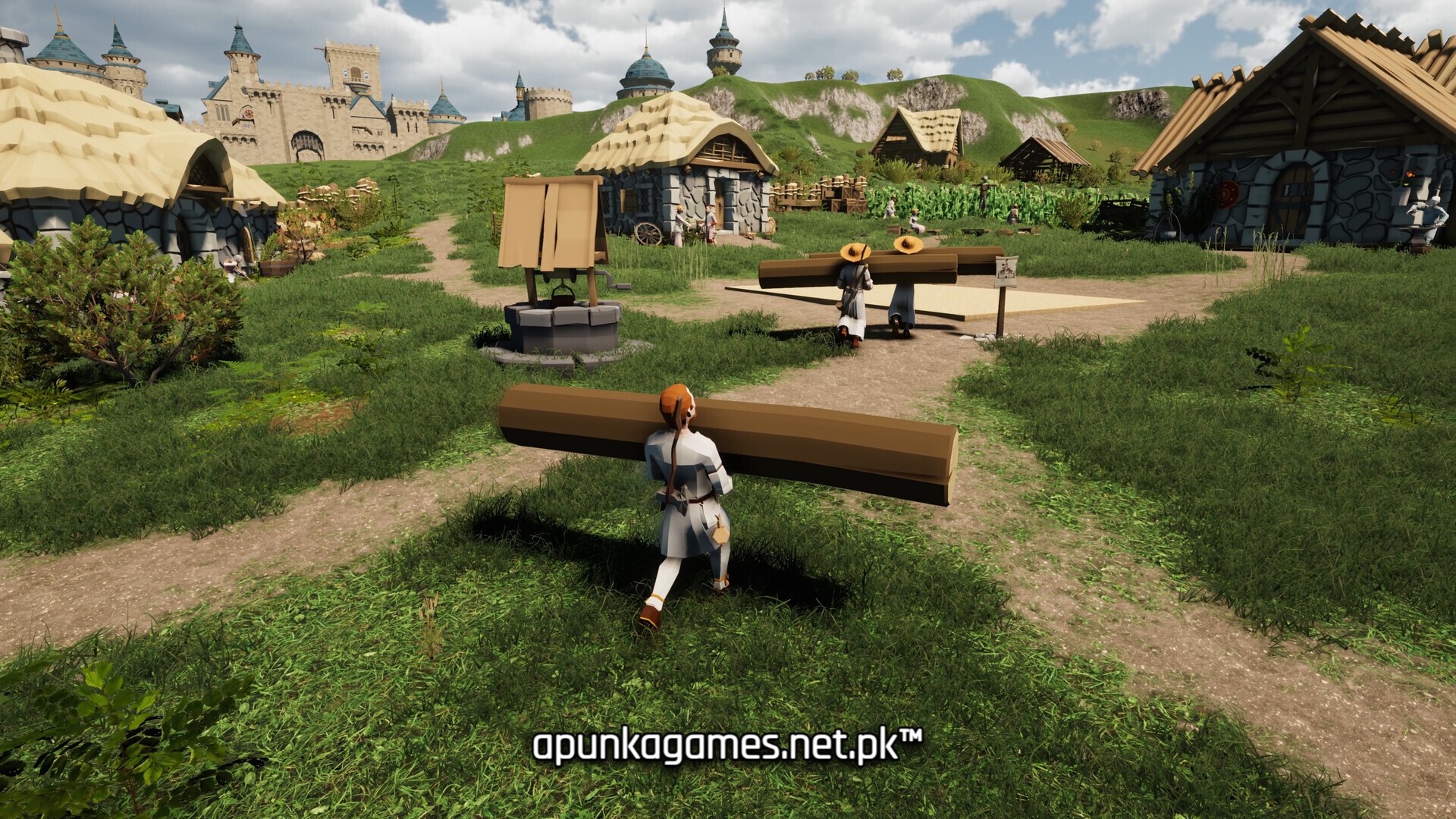 Dungeons and Kingdoms