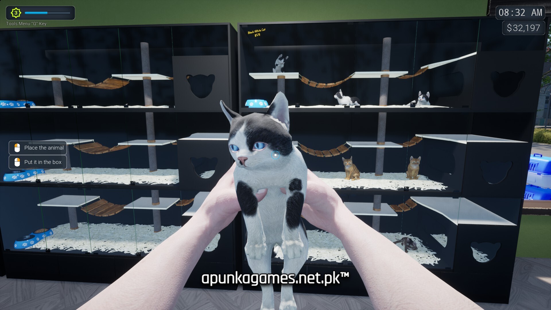 Exotica 2 Pet Shop Simulator