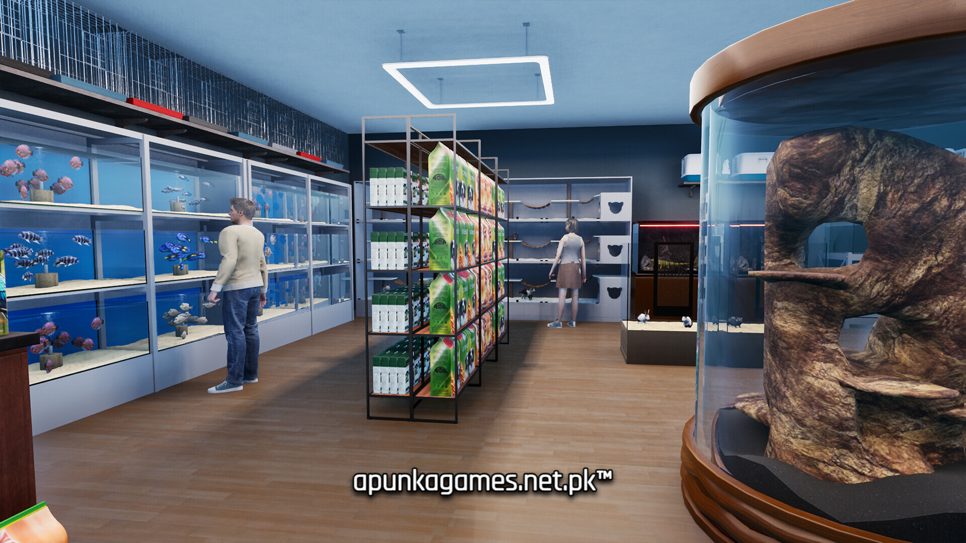 Exotica 2 Pet Shop Simulator