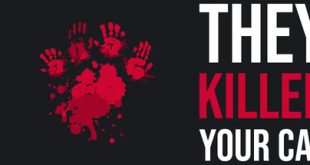 They Killed Your Cat