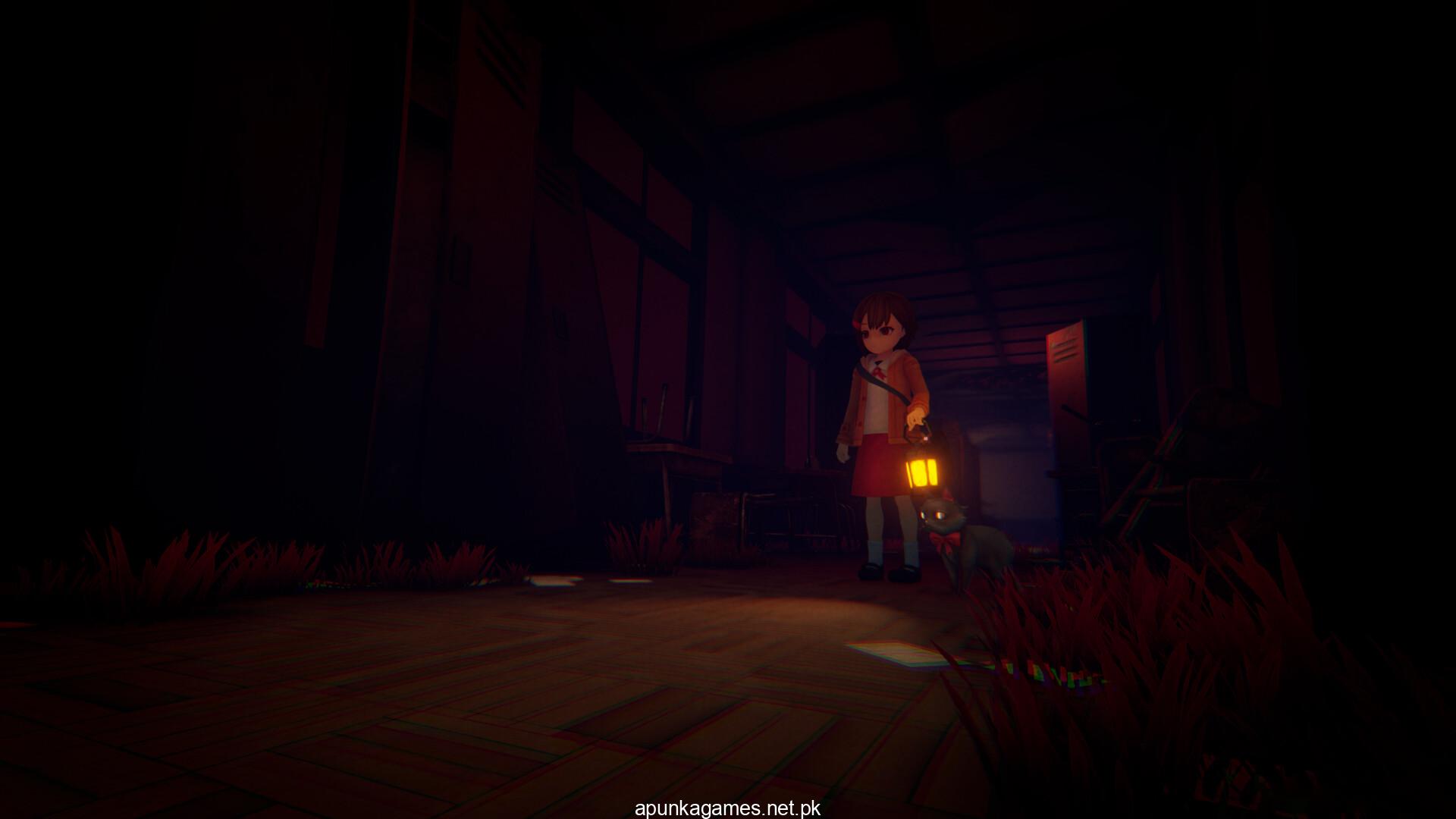 Narin The Orange Room