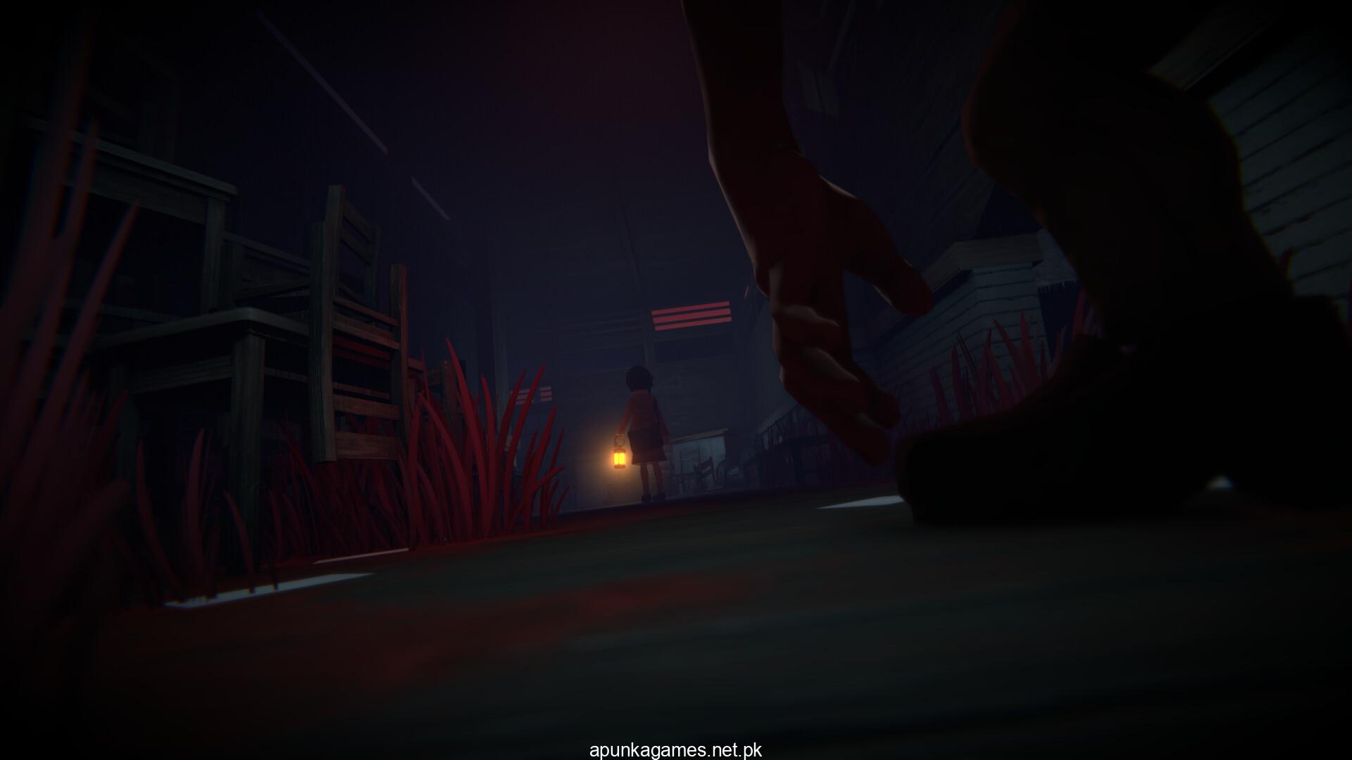 Narin The Orange Room